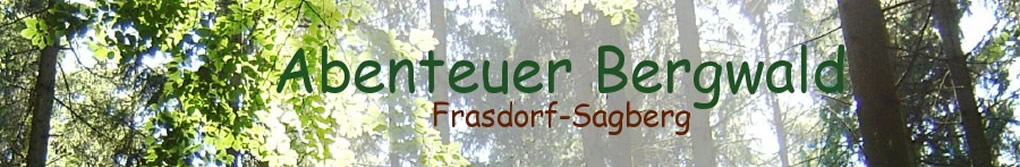 Abenteuer Bergwald - Frasdorf/Sagberg